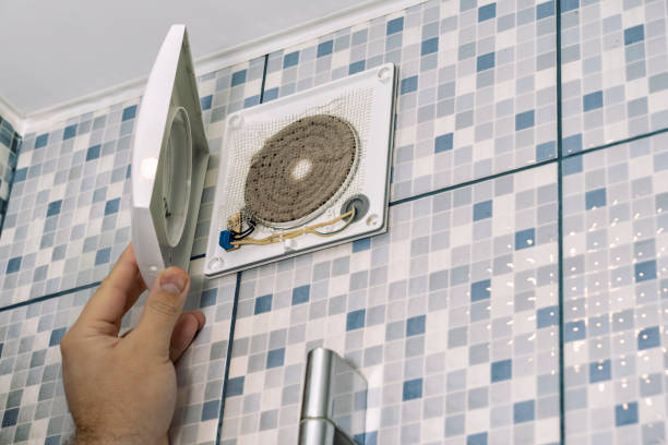 Air Duct Mold Removal in Streamwood, IL