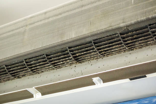 Best HVAC Duct Inspection Services  in Streamwood, IL